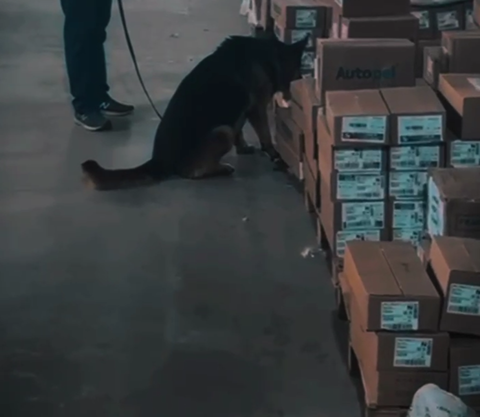 Polícia Civil e Receita Federal interceptam carga com drogas sintéticas Polícia Civil e Receita Federal interceptam carga com drogas sintéticas