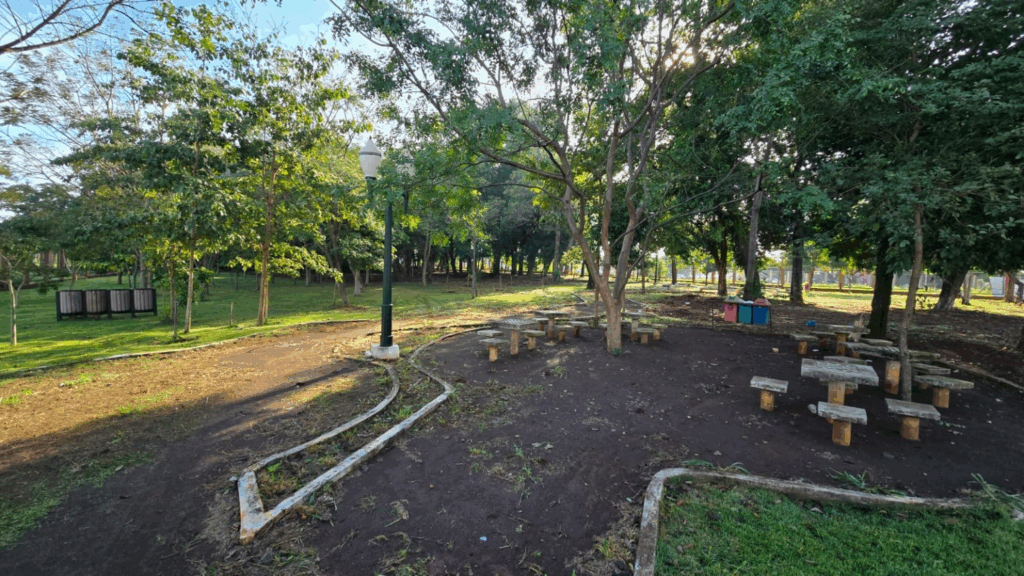 Feira Central recebe 84 novas árvores em ação de revitalização Feira Central recebe 84 novas árvores em ação de revitalização
