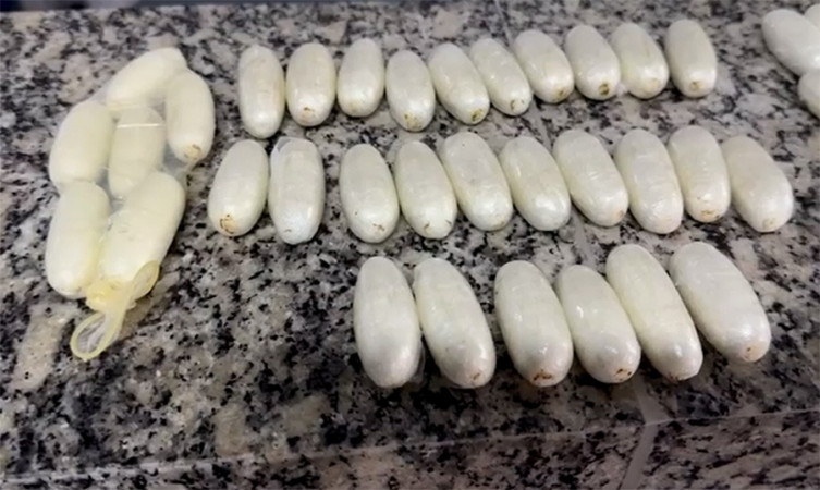 Cão farejador leva boliviana a ser presa com pasta base de cocaína