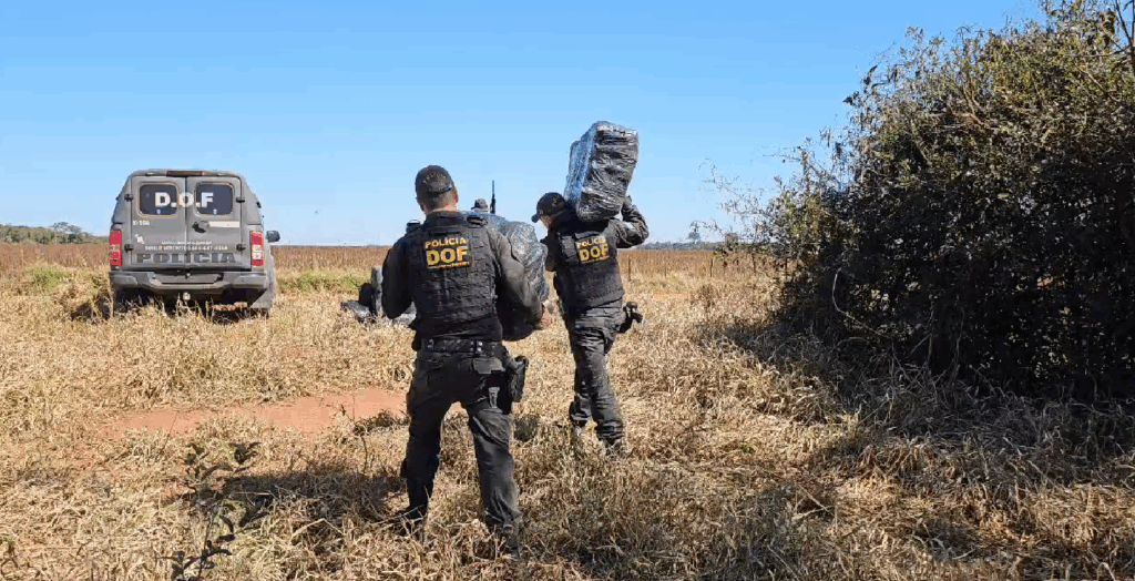 DOF apreende quase cem quilos de drogas em meio a mata em Coronel Sapucaia DOF apreende quase cem quilos de drogas em meio a mata em Coronel Sapucaia