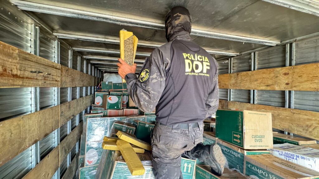 DOF apreende 2,7 toneladas de drogas em meio a carga de ovos de galinha