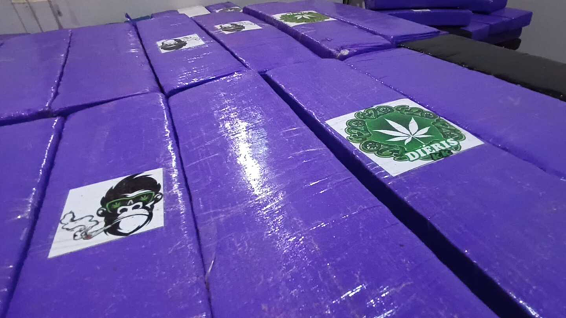 PRF apreende 1800 kg de maconha e prende jovem após acidente PRF apreende 1800 kg de maconha e prende jovem após acidente