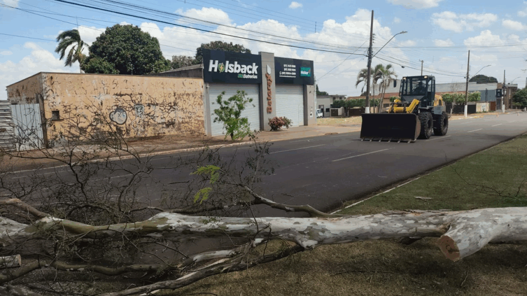 Prefeitura dá rápida resposta a atendimentos por queda de árvores em início de primavera chuvosa