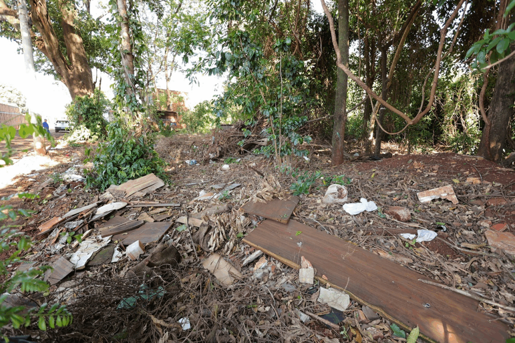 Prefeitura realiza limpeza em área de preservação no Bairro Estrela Porã Prefeitura realiza limpeza em área de preservação no Bairro Estrela Porã