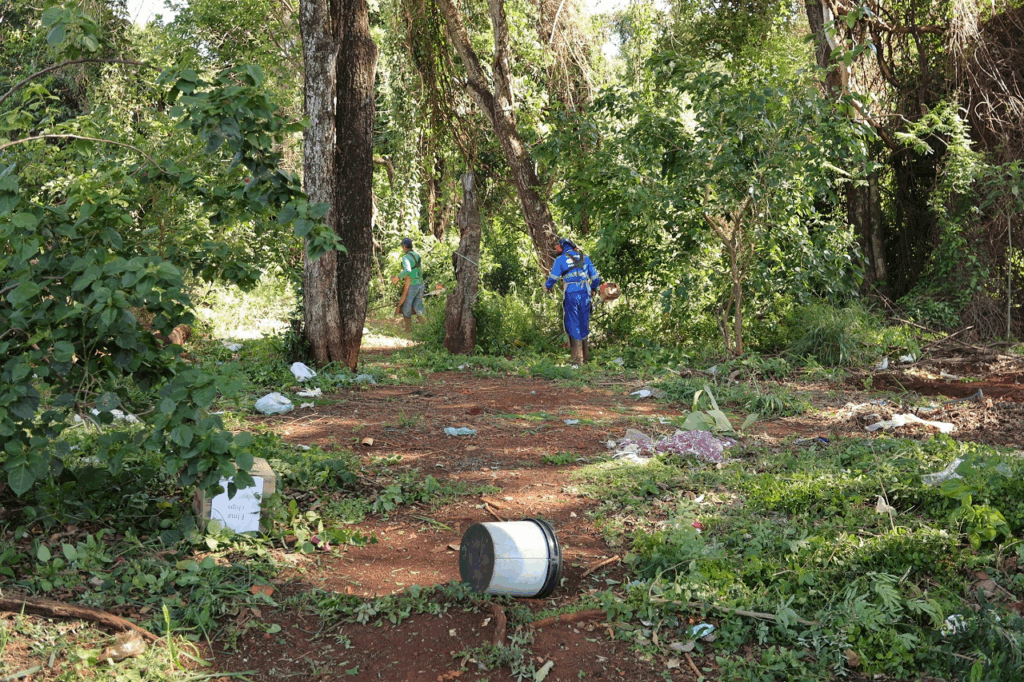 Prefeitura realiza limpeza em área de preservação no Bairro Estrela Porã Prefeitura realiza limpeza em área de preservação no Bairro Estrela Porã