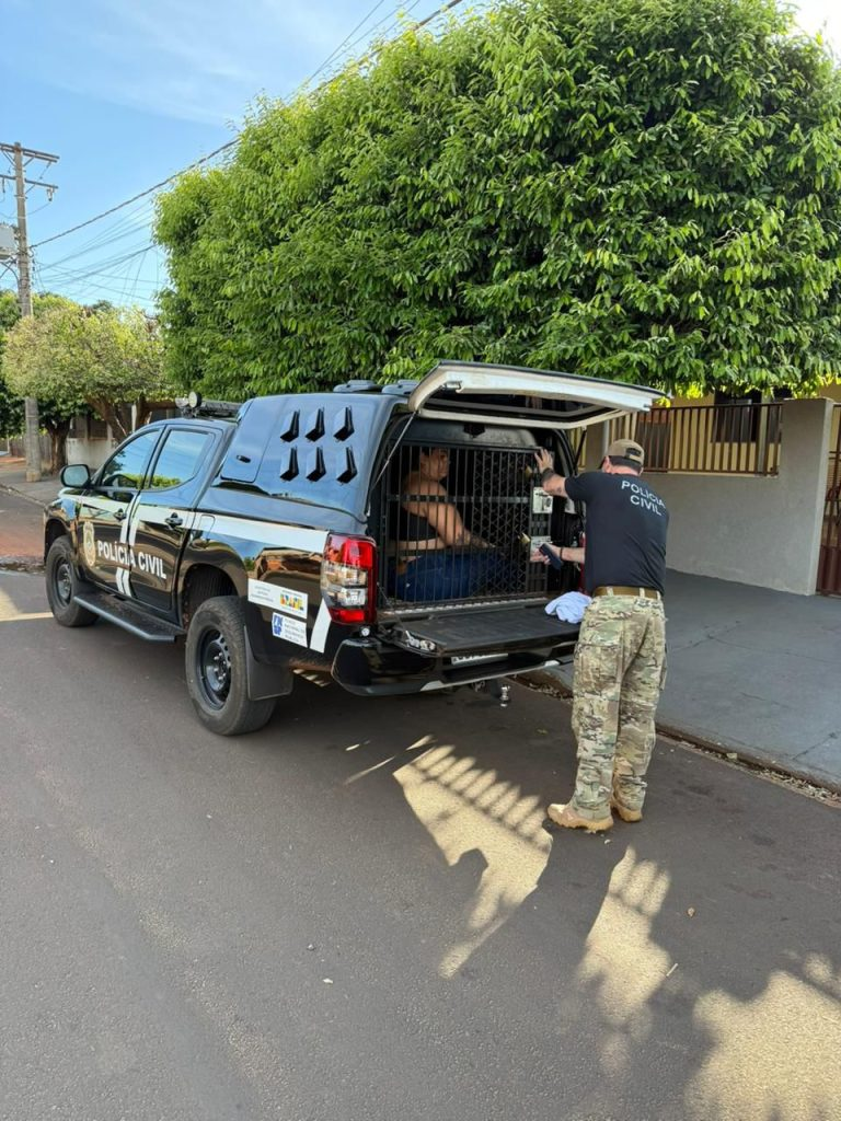 Polícias Civis de MS,SC e PI deflagram Operação e prendem quadrilha especializada no golpe do falso advogado Polícias Civis de MS,SC e PI deflagram Operação e prendem quadrilha especializada no golpe do falso advogado