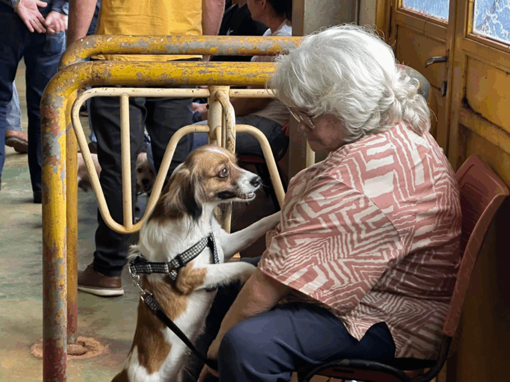 Barbosinha destaca atuação da equipe da Caravana da Castração Barbosinha destaca atuação da equipe da Caravana da Castração