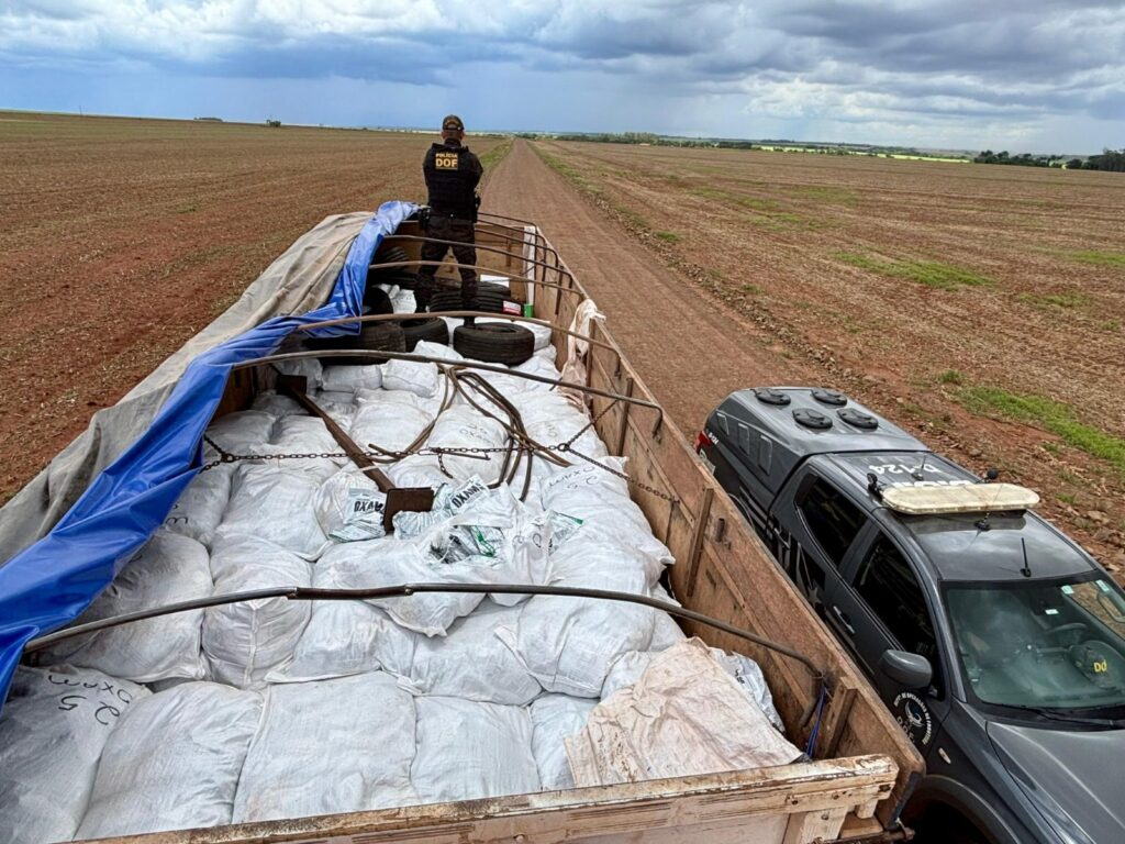 Com quase 200 toneladas em 2025, DOF registra a 2ª maior marca histórica em apreensões de drogas