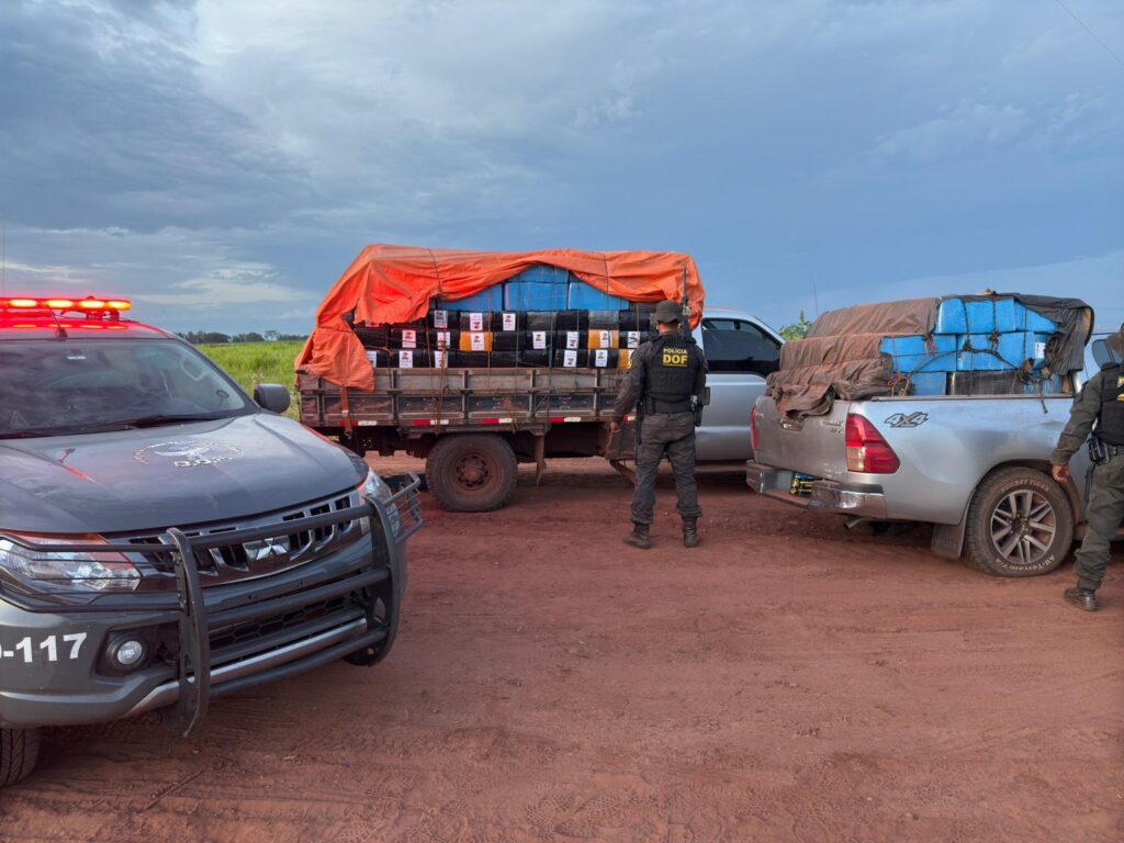 Com quase 200 toneladas em 2025, DOF registra a 2ª maior marca histórica em apreensões de drogas