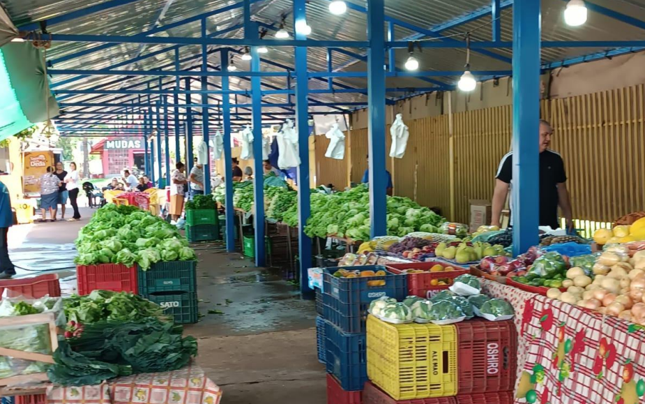 Prefeitura transforma o campo, fortalece feiras e impulsiona a agricultura familiar em 11 meses