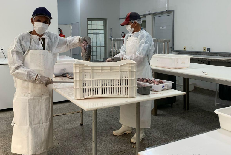 Prefeitura transforma o campo, fortalece feiras e impulsiona a agricultura familiar em 11 meses