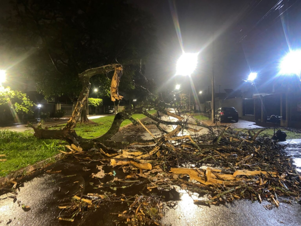 Prefeitura e Defesa Civil atuam para reduzir impactos do temporal em Dourados Prefeitura e Defesa Civil atuam para reduzir impactos do temporal em Dourados