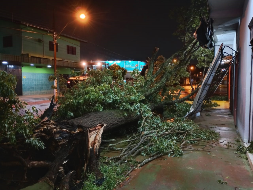 Prefeitura e Defesa Civil atuam para reduzir impactos do temporal em Dourados Prefeitura e Defesa Civil atuam para reduzir impactos do temporal em Dourados