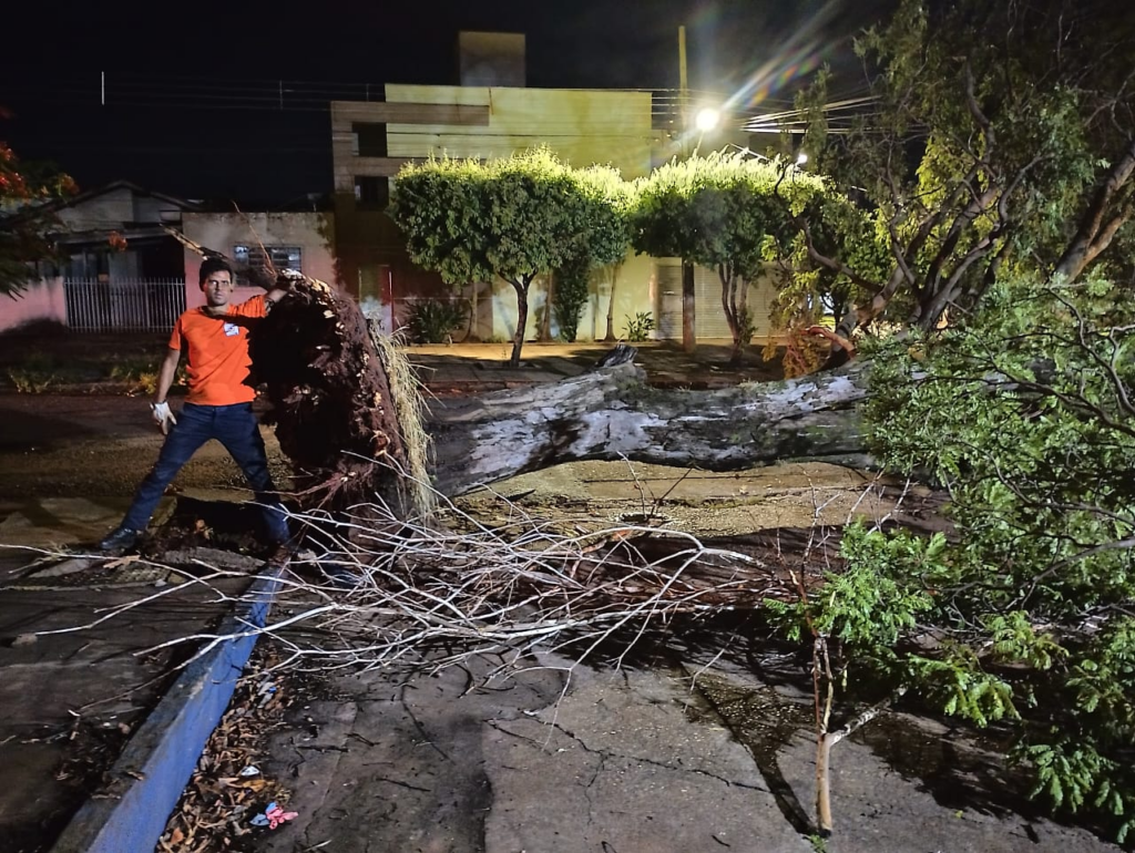 Prefeitura mobiliza força-tarefa após temporal causar estragos em Dourados Prefeitura mobiliza força-tarefa após temporal causar estragos em Dourados