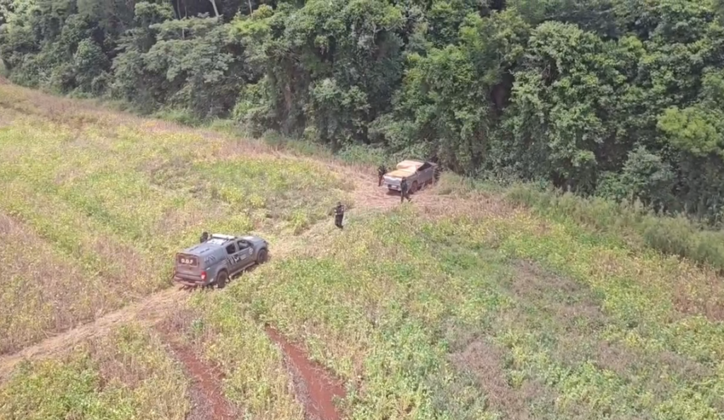 Com apoio de helicóptero, DOF apreende quase duas toneladas de maconha em caminhonete furtada