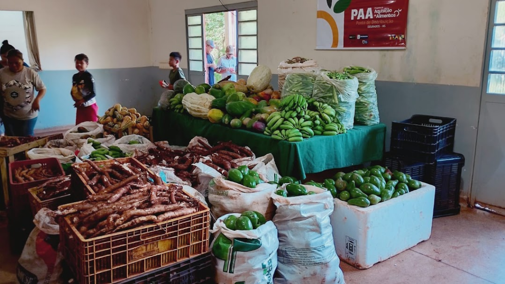 Prefeitura transforma realidade nas aldeias com entrega de 53 toneladas de alimentos