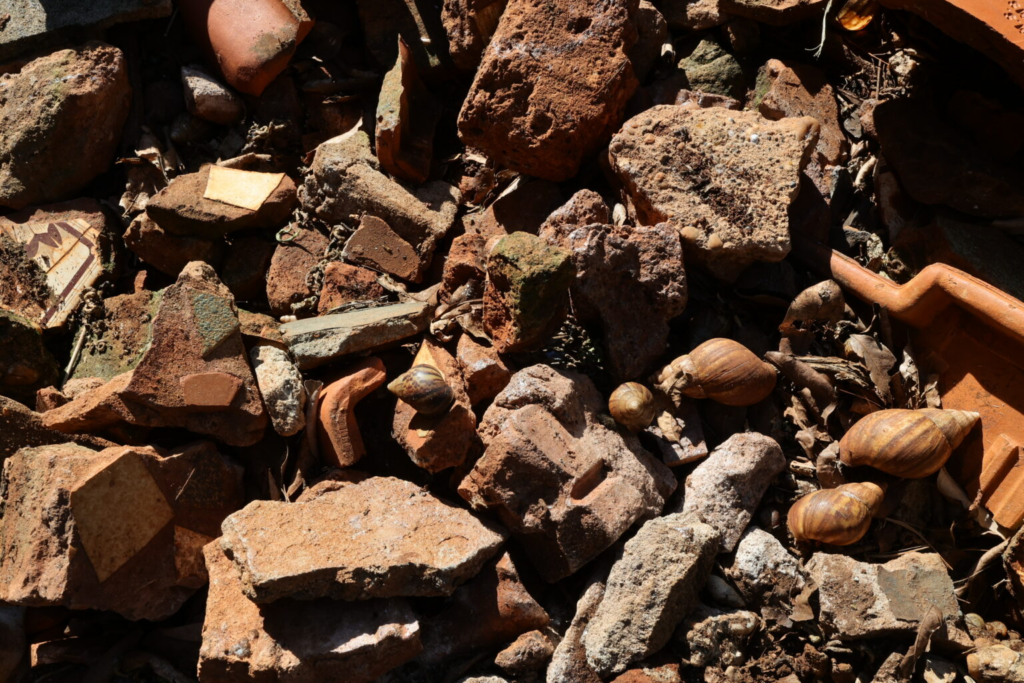 Prefeitura inicia limpeza de terrenos baldios após descumprimento de notificações 