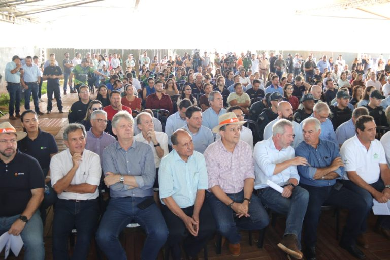 MS projeta safra recorde de etanol, com 5 bilhões de litros produzidos em 2025/2026