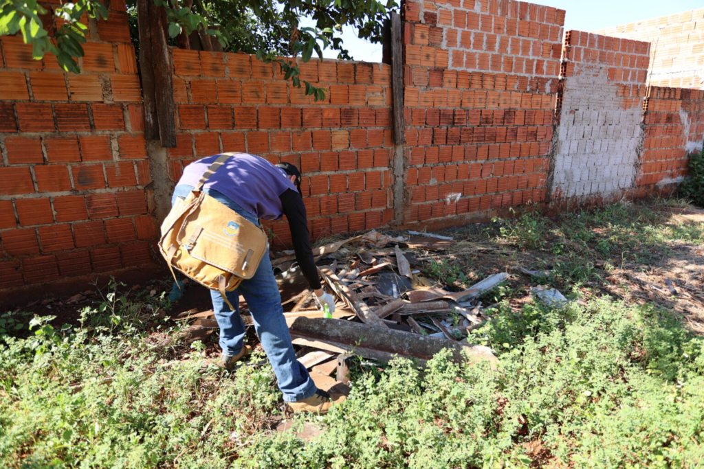 Mutirão contra chikungunya chega ao Parque do Lago II com limpeza e orientação à população Mutirão contra chikungunya chega ao Parque do Lago II com limpeza e orientação à população