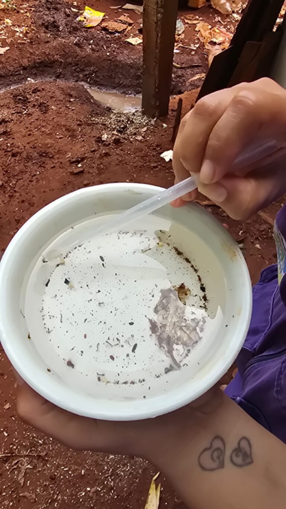 Prefeitura inicia força-tarefa contra Chikungunya na Reserva Indígena e confirma epidemia