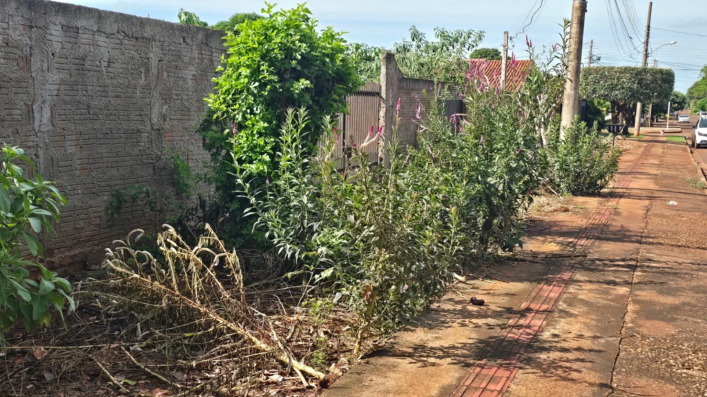 Mutirão contra Chikungunya chega ao Santa Maria e CCZ apela por apoio da população Mutirão contra Chikungunya chega ao Santa Maria e CCZ apela por apoio da população