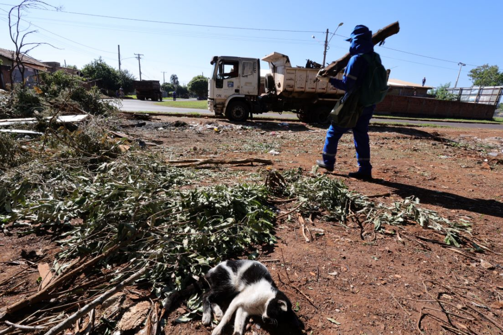 Moradores voltam a jogar lixo em áreas recém limpas e agravam epidemia de Chikungunya