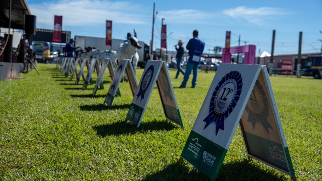 Uma das únicas no país, 60ª Expoagro é 'exposição ouro' para ranking nacional do Nelore Pelagens