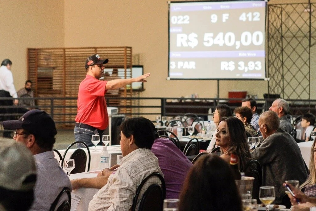 Leilões de gado serão destaques na 60ª Expoagro