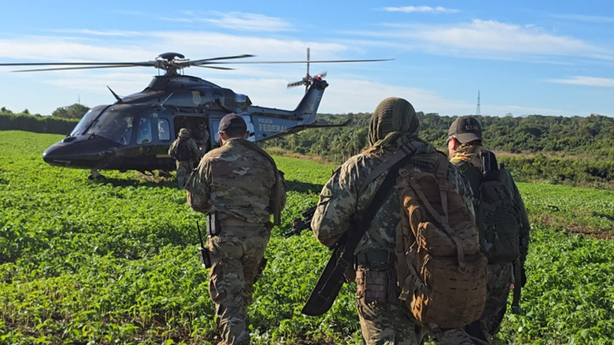 Operação conjunta PF/SENAD destrói mais de 800 toneladas de maconha