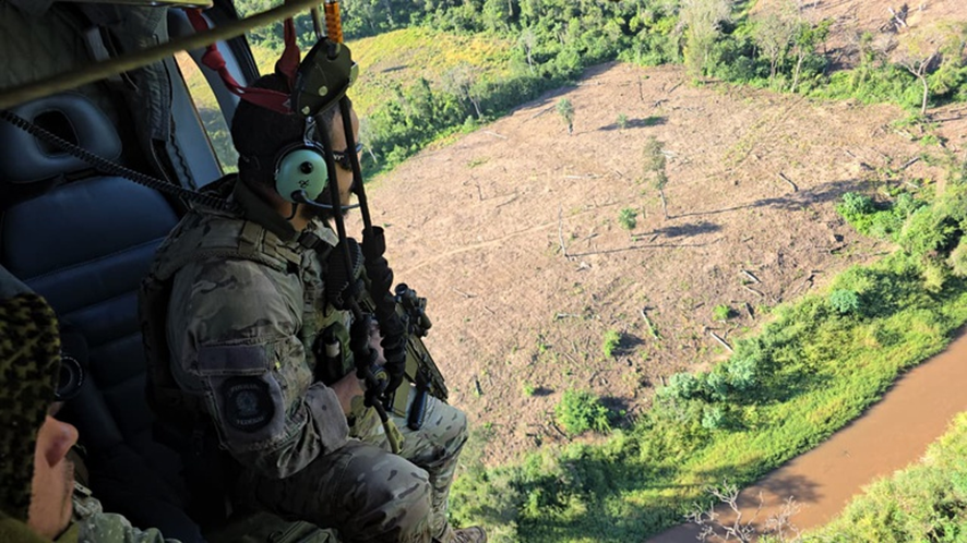 Operação conjunta PF/SENAD destrói mais de 800 toneladas de maconha