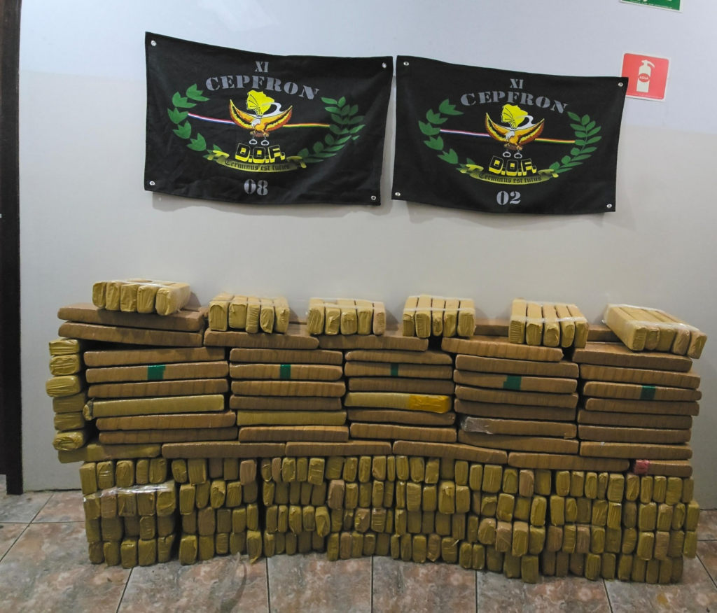 DOF apreende quase 300 quilos de maconha em Nova Andradina