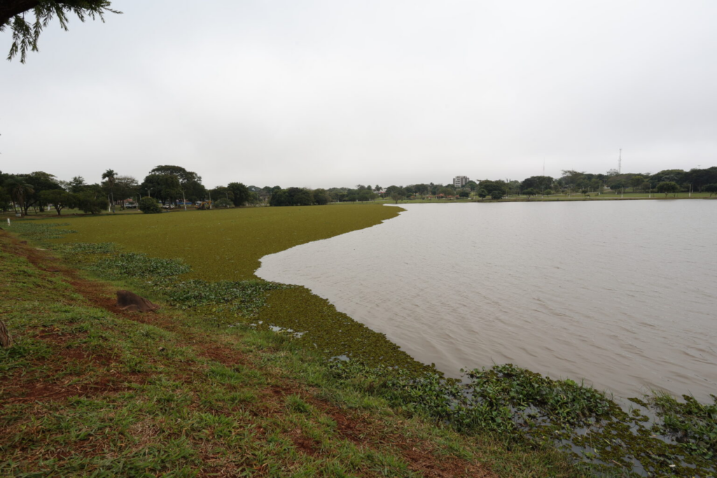 Prefeitura inicia limpeza dos lagos do Antenor Martins e Parque Rego D’Água