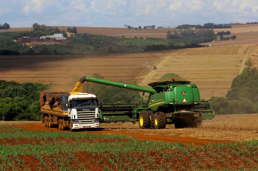 Medida provisória atende agricultores que tiveram perda de safra por eventos climáticos extremos Foto: Jaelson Lucas/AEN Foto: Jaelson Lucas - Agência Senado