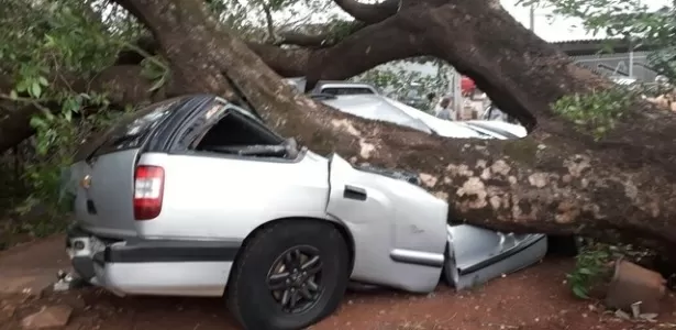 Inmet emite alerta sobre possibilidade de vendaval com ventos de até 60 km/h Inmet emite alerta sobre possibilidade de vendaval com ventos de até 60 km/h